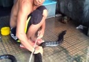 Wilderness Food - Amazing Men Give A Bath For King Cobra Facebook