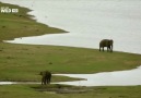 Wild Sri Lanka