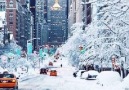 Winter in New York