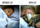 Without Your Cat Vs. With Your Cat