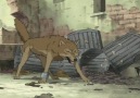 Wolf's Rain - Bad Fellow