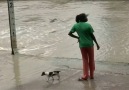 Woman sees of crocodile with a flip flop