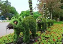 Wonderful gardens