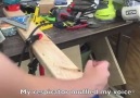 Woodworking Fans