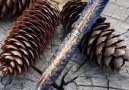 Woodworkinggang - Tutorial how to make pinecone pen ...