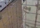 Working at Scaffolding - Highly Unsafe