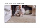 Work Work Work Pork Work