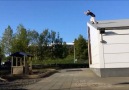 World’s Best Parkour & Freerunning!