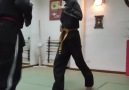 World Hapkido - hapkido Facebook