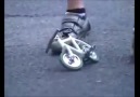 World's Smallest Bicycle