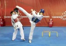 World Taekwondo Training Program