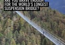 Would you dare walk across the worlds longest suspension bridge