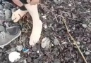 WOW -- This man deserves respect for what he did!