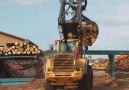 Wow! Unloading a log truck at the wood yard