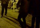WP_20150927_03_23_38_Pro.mp4