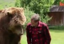 Wrestling A Grizzly Bear In My Garden