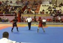 Wushu İstanbul Şampıyonası