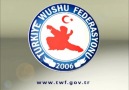 wushu nedir abi yaa :) ???