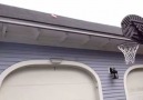 WW: ROOF SLIDE!