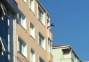 Xala şalvardan cin mi çıxarısan nağarısan