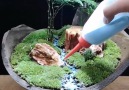 XOI Crafts - 1001 ways to create a bonsai pot Facebook
