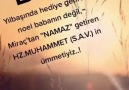 Yaban Ğülü - Aynen Öyle...