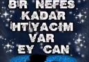 Yaban Ğülü - Gidin deyin yara