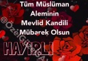 Yaban Ğülü - (v) () Hayırlı Nurlu...