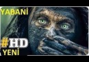 YABANİ 2019 KORKU GERİLİM FİLMİ 720P HD TÜRKÇE DUBLAJ 720P HD İZLE