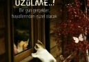 Yağmur Damlası - &quotHayli olmayan insanKanadı olmayan...