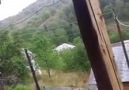 Yagmurlu bir Artvin sabahında Can katar türküler canıma )