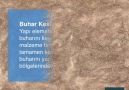 Yalıtım Sözlüğü Buhar Kesici