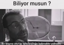 Yalnızlık nasıl bir şey biliyor musun