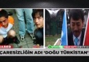 yanıyor karıncalar nerede
