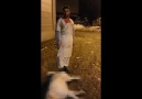 Yapılan Köpek Katliamına İsyan Etmek