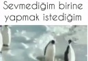 Yapmak istediğim şey D D