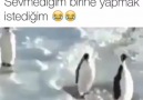 Yapmak istediğin birini Etiketle )