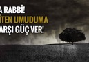 Ya Rabbi! Biten umuduma karşı güç ver!