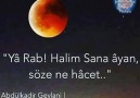 Ya Rab!Halim Sana yan söze ne hcet...Seyirhanem * Mevlanam