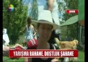 YARIŞ BAHANE DOSTLUK ŞAHANE