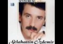 yaşamam artık - selahattin özdemir