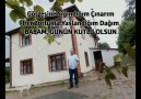 Yasin Bektaş - Başta babam olmak üzere tüm babaların...