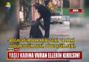 Yaşlı kadına vuran ellerin kırılsın!