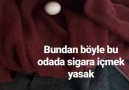 Yatağına yumurtlayan kuş ile anlaşmaya çalışan arkadaş