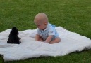 Yavru köpeğe nakavt olan bebek :)
