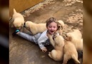 Yavru köpeklerin saldırısına uğrayan ufaklık