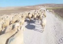 Yazdan kalma bir video