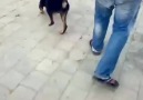 yazik olsun ( LUTFEN REKOR PAYLASIM  )
