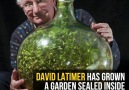 50 Year Old Bottled Garden That Has Only Been Watered Once
