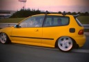 Yellow Snake Low Motion Honda Civic EG - JDM TÜRKİYE